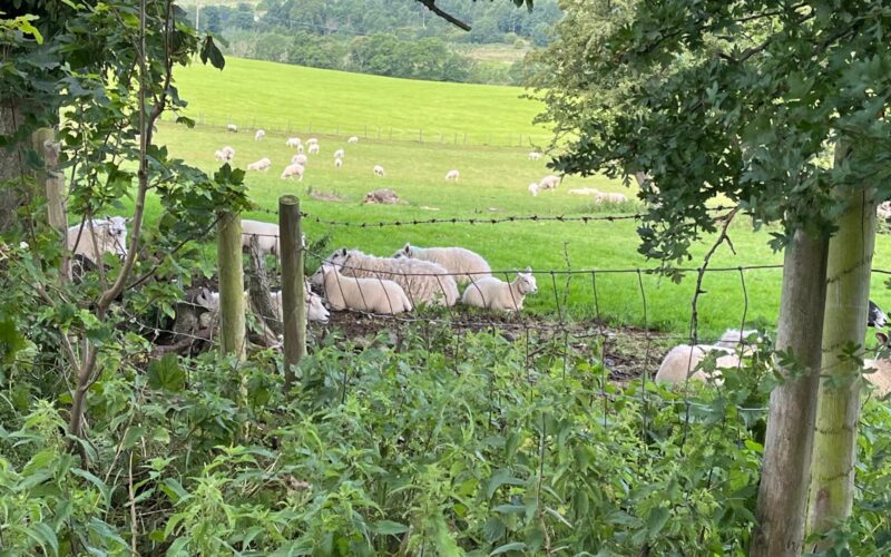 PHOTO-2026-03-28-16-31-27 4