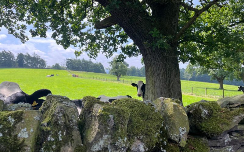 PHOTO-2026-03-28-16-31-27