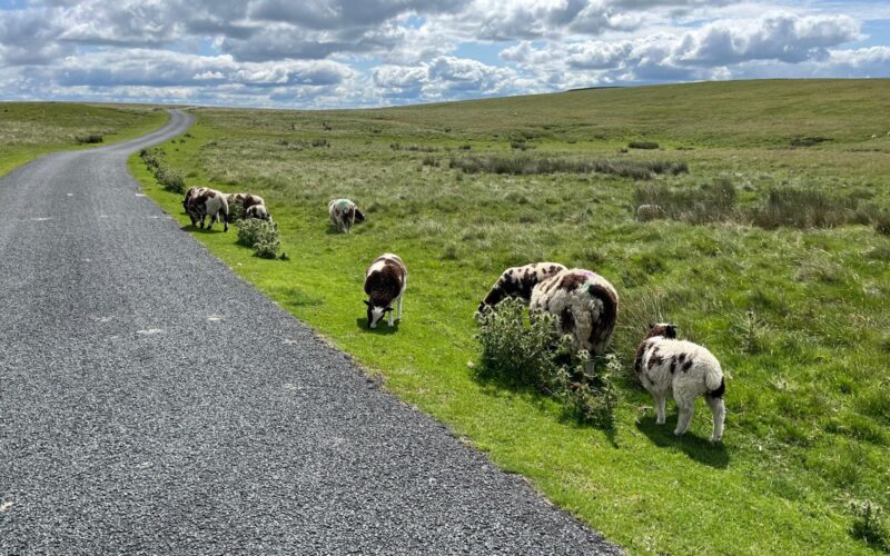 PHOTO-2026-03-28-16-31-28 3