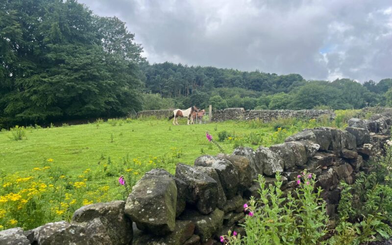 PHOTO-2026-03-28-16-31-28 8